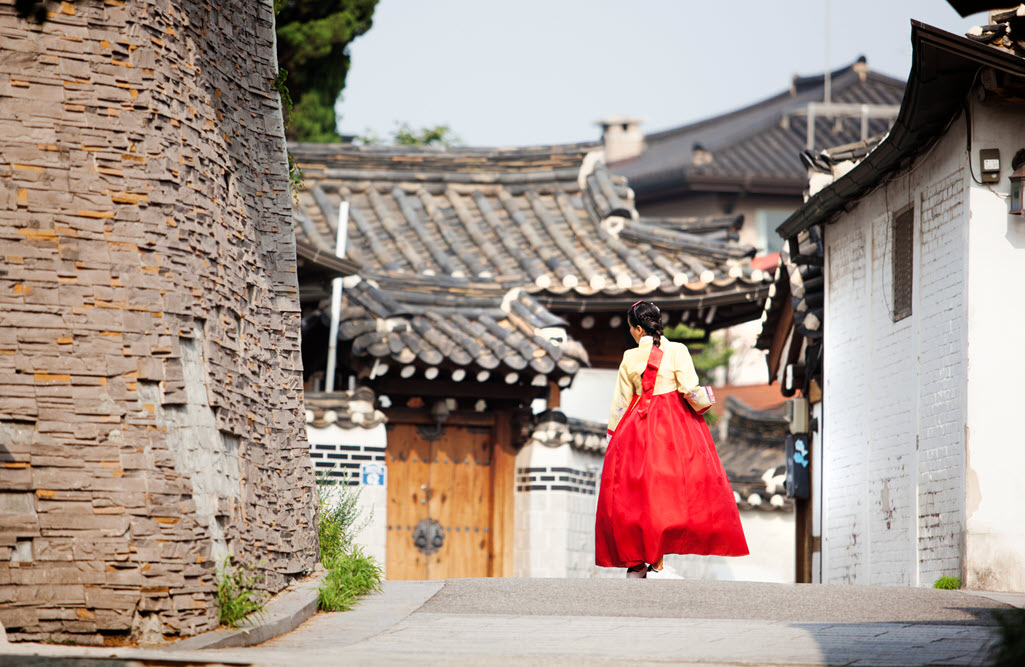 Seoul Nightlife Tour : Royal Palace Tour, Chimaek Adventure, Romantic Summer Night Cruise with Music, Han River Sightseeing