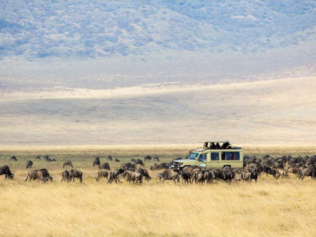 Gran Safari del Este de África: Kenia y Tanzania en 10 Días