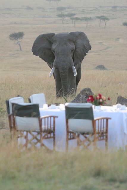 2-Day Sabi Sands Safari – Spot the Big Five