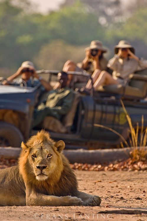 1-Day Kruger Wildlife Expedition from Hoedspruit