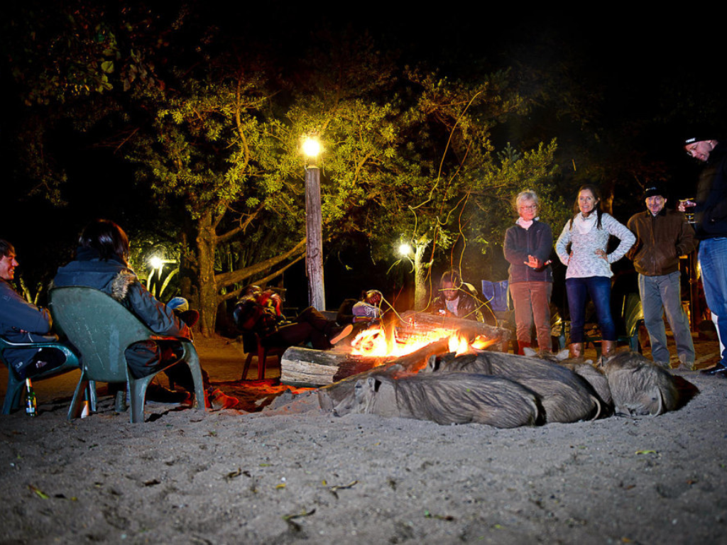 2-Day Eswatini Tour – Add-On to Your Safari