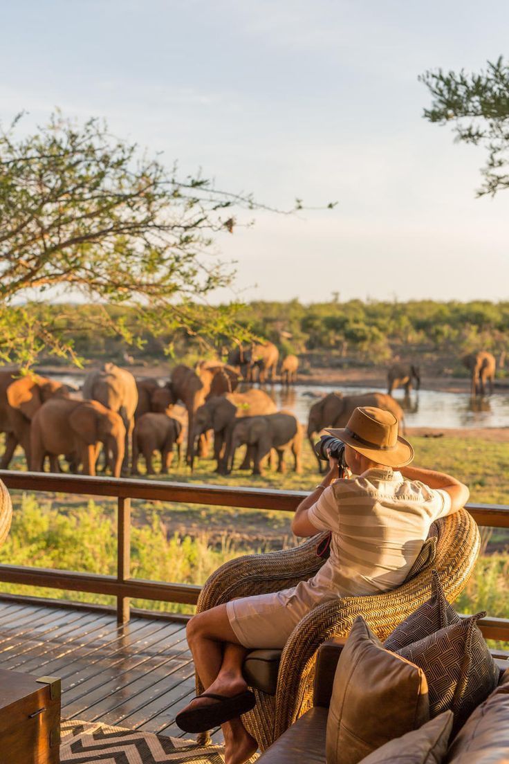 2-Day Okavango Delta Luxury Safari Escape