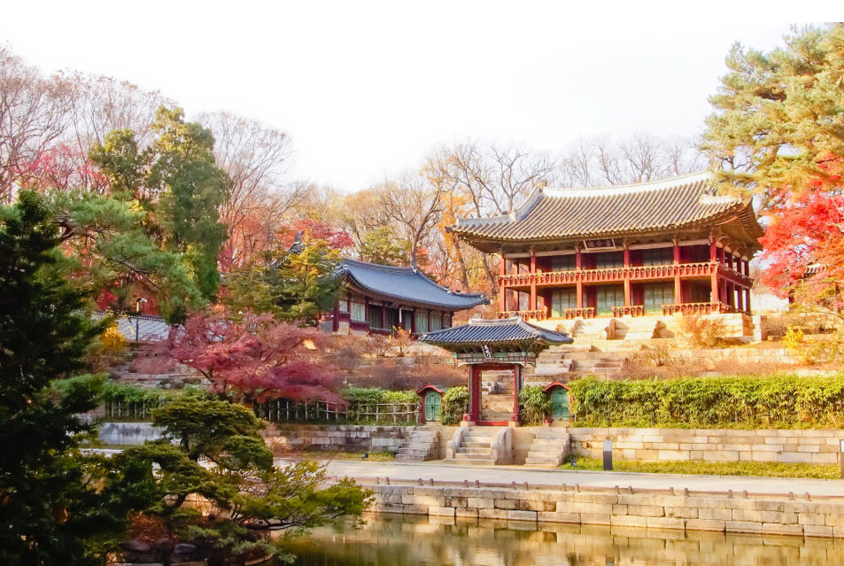 Seoul Customized Private Tour