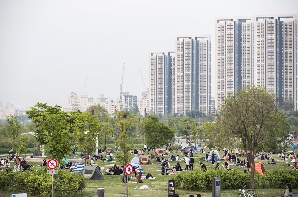 Seoul Nightlife Tour : Royal Palace Tour, Chimaek Adventure, Romantic Summer Night Cruise with Music, Han River Sightseeing
