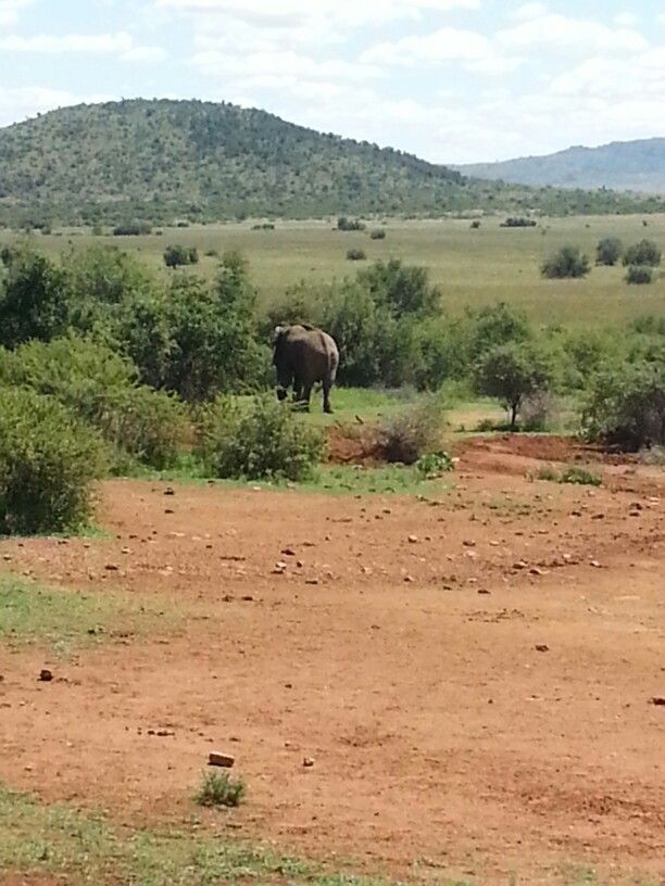 2-Day Authentic Big Five Camping Safari at Pilanesberg