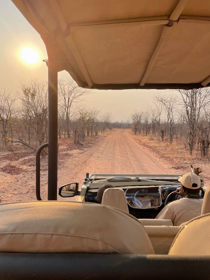 2-Day Etosha Safari from Windhoek – Lions, Elephants & More