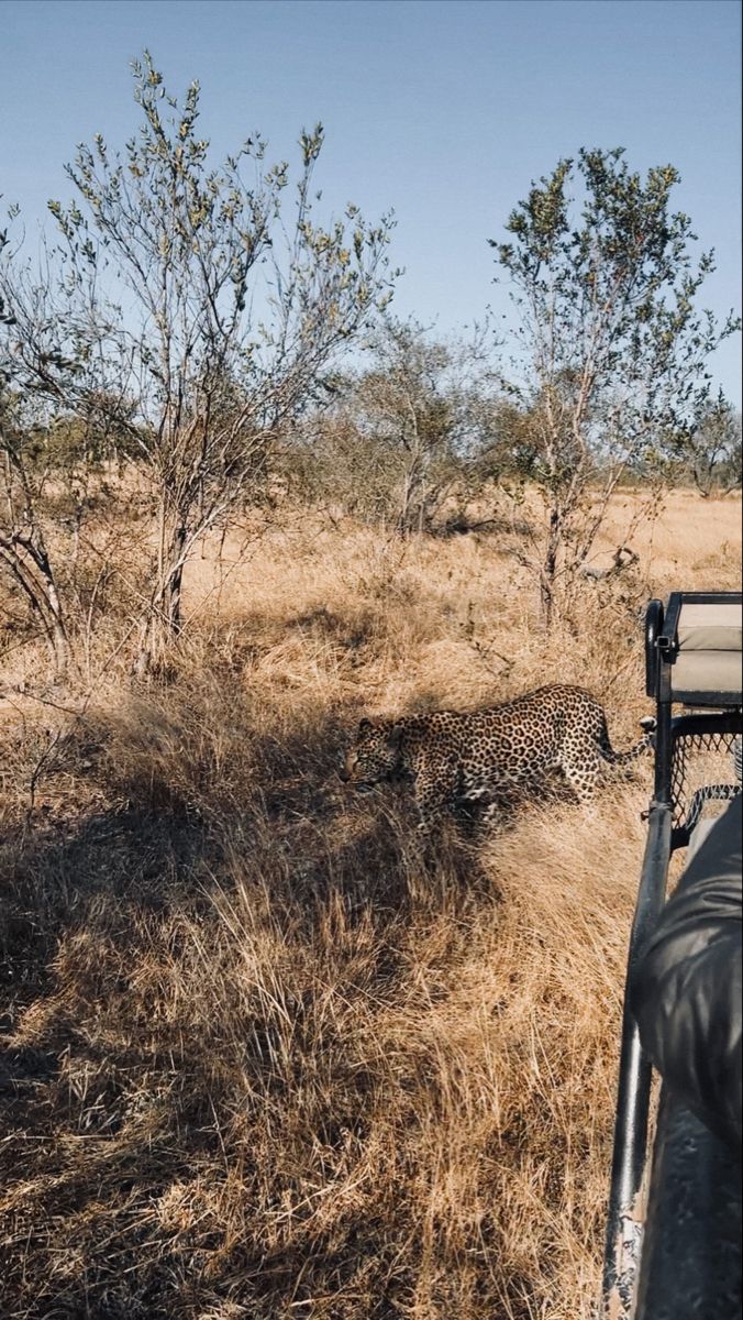 3-Day Pilanesberg Big Five Bush Adventure from Johannesburg