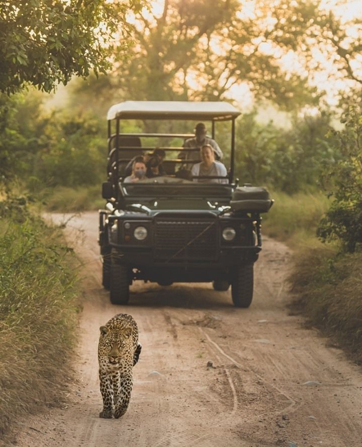 2-Day Sabi Sands Safari – Spot the Big Five