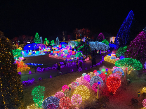 Winter Nami Island, Strawberry Farm & Garden of Morning Calm Winter Light Display Private Transport Tour (9 passengers max)