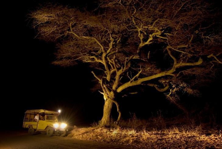 Safari en el campamento Langa Langa, sur del Kruger – 3 días