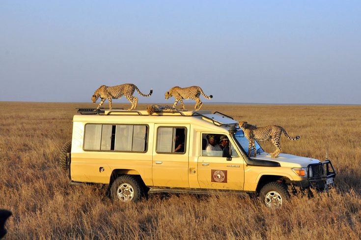 ½-Day Windhoek Wildlife & City Adventure with Lunch