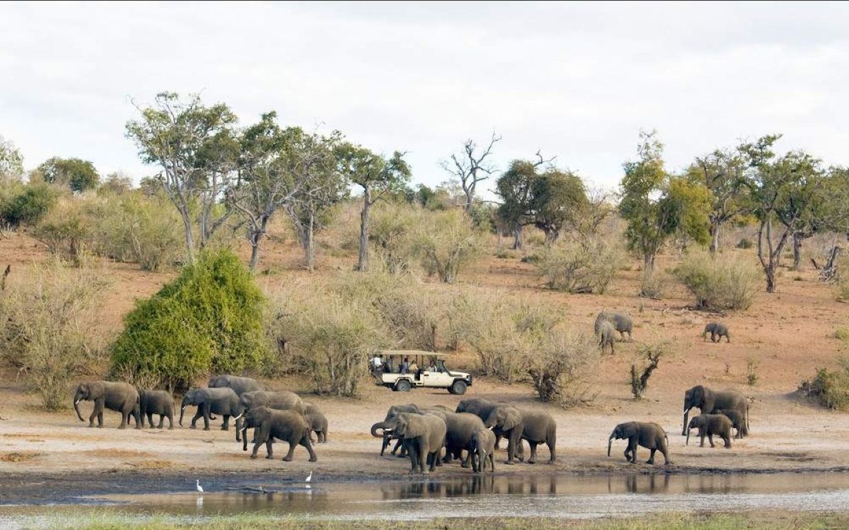 Safari económico de 7 días por el Parque Nacional Kruger, las Cataratas Victoria y el Parque Nacional de Chobe