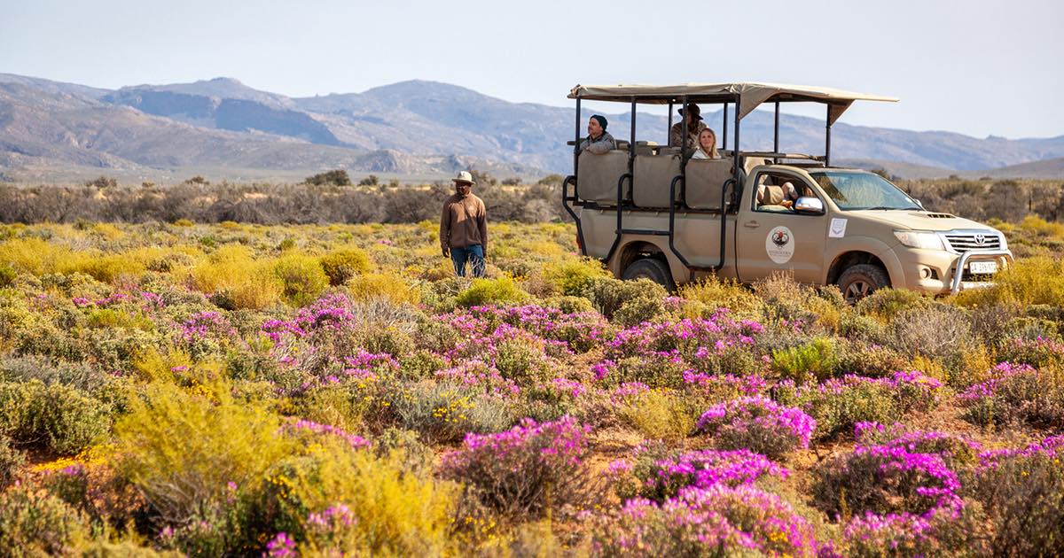 3 Day Big Five & Cheetah Run Safari – Inverdoorn