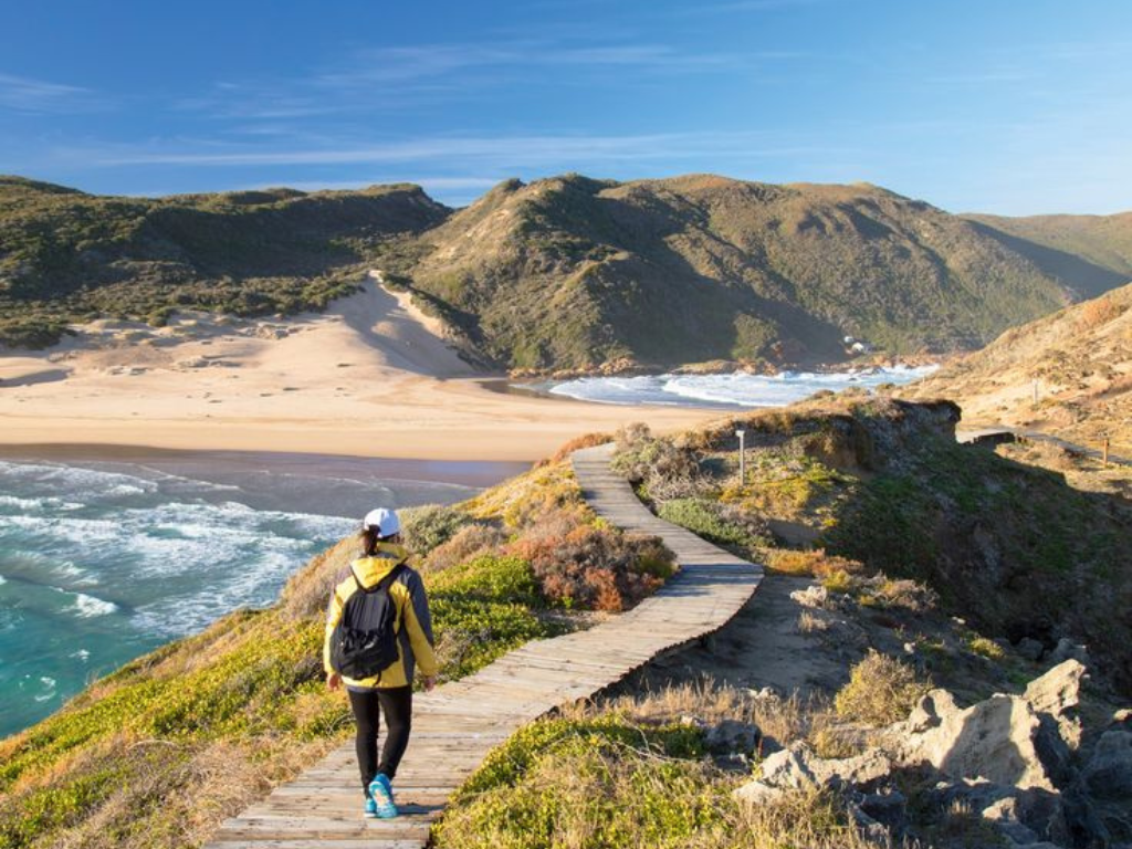 5-Day South Africa Garden Route & Addo Escape