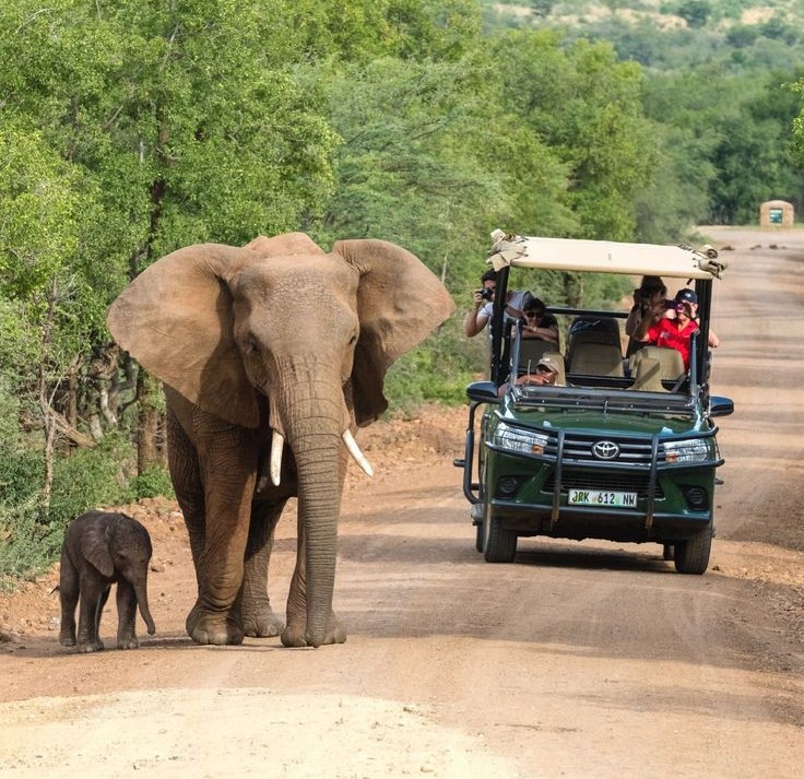 2 day luxury safari experience at Black Rhino game lodge