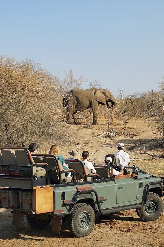 2-Day Etosha Safari from Windhoek – Lions, Elephants & More