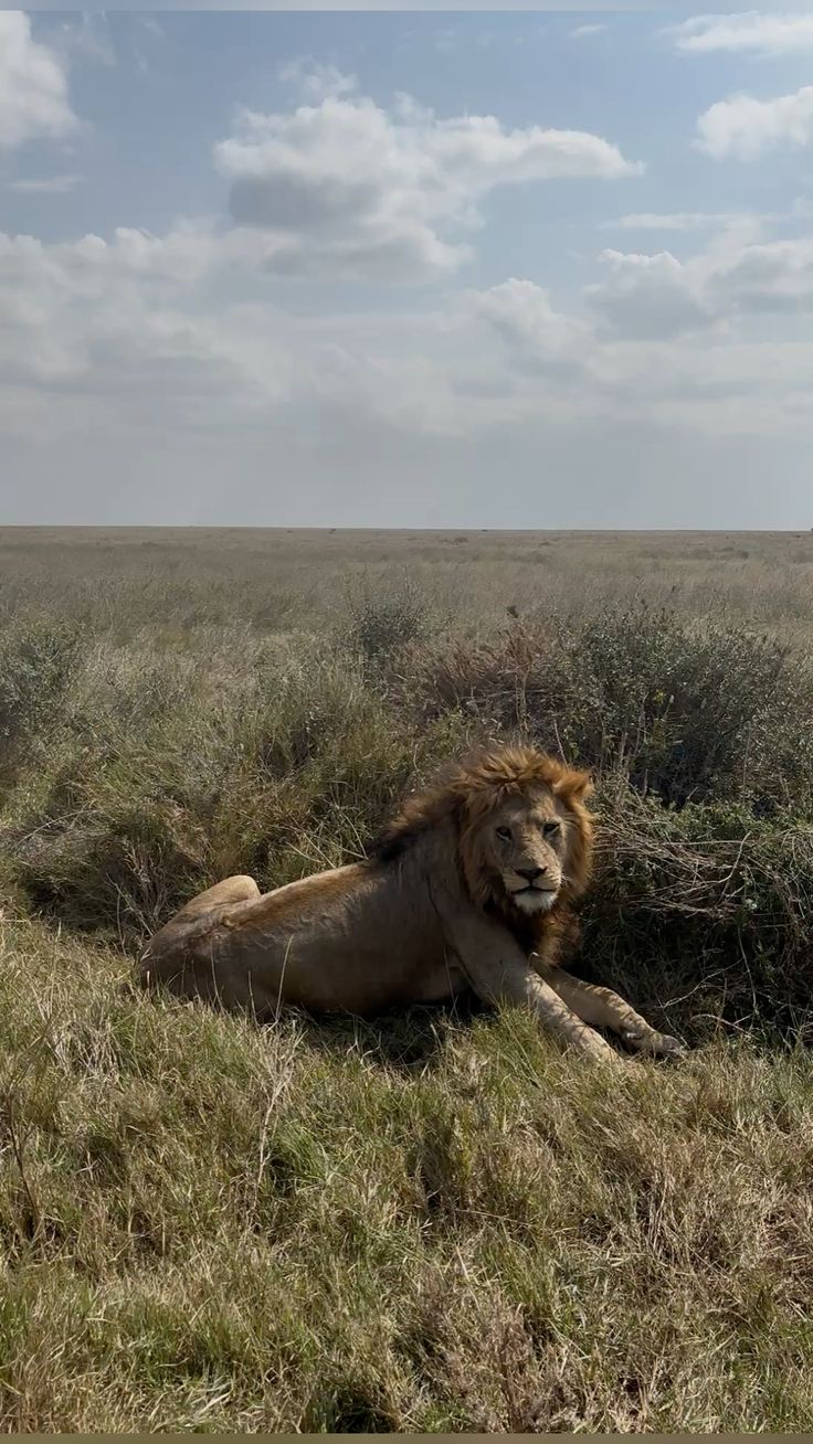 2-Day Inverdoorn Safari – Big Five Cape Town Experience