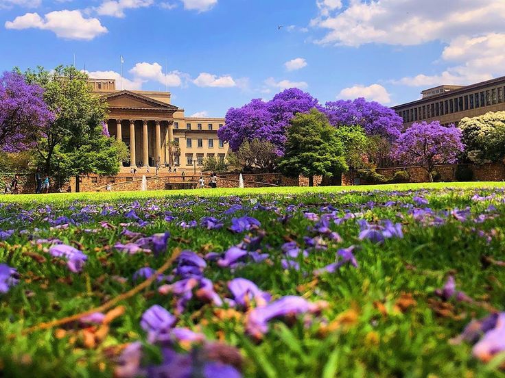 ½-Day Pretoria Highlights Adventure