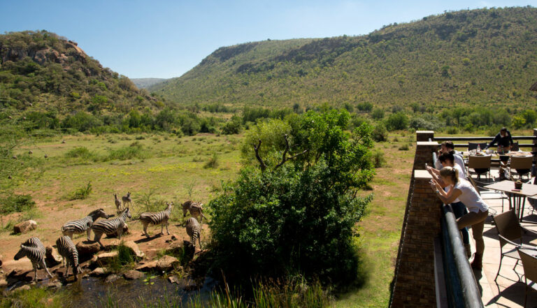 4 day mid range safari – Kwa Maritane Bush lodge