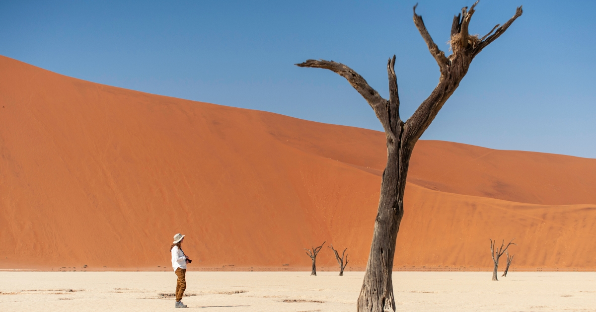 12-Day Namibia Wildlife & Cultural Safari Adventure