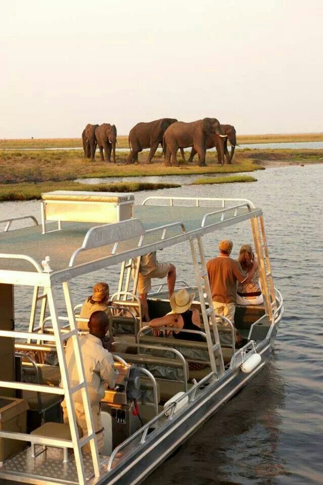 3-Day Chobe and Okavango Wildlife Safari