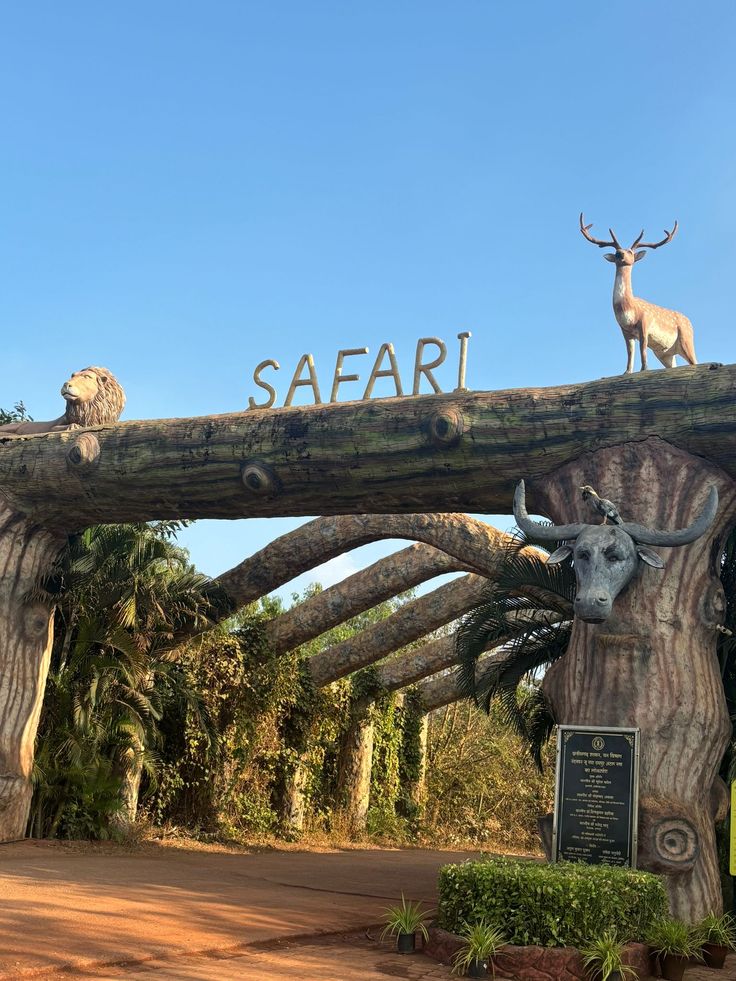 1-Day Pretoria City & Safari Park Adventure – The Best of Both Worlds