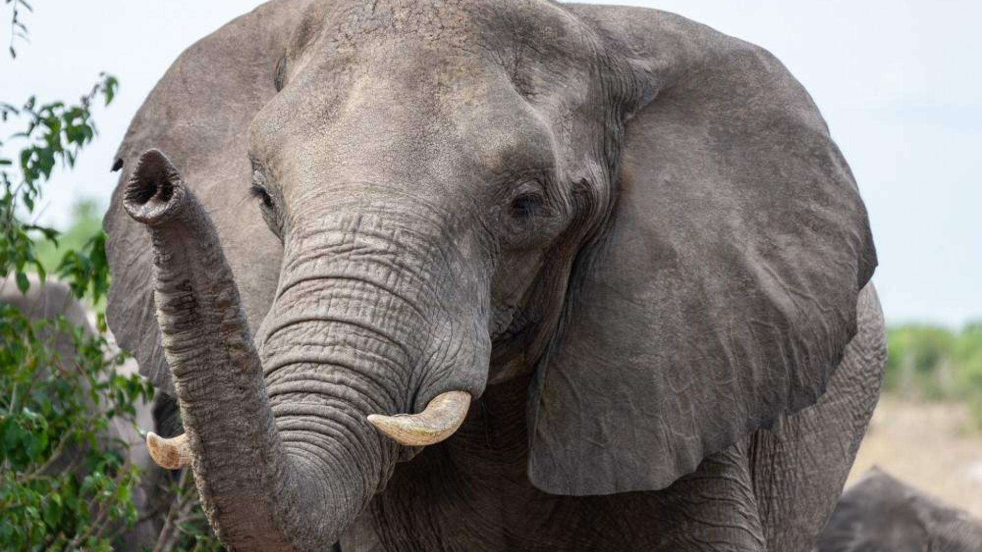 3-Day Cape Town Wildlife Getaway