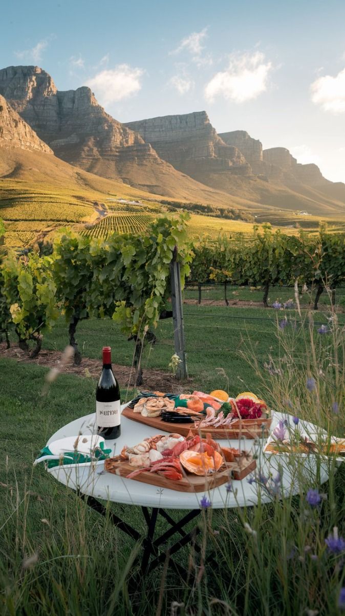 3-Day Cape Agulhas, Safari & Winelands Experience