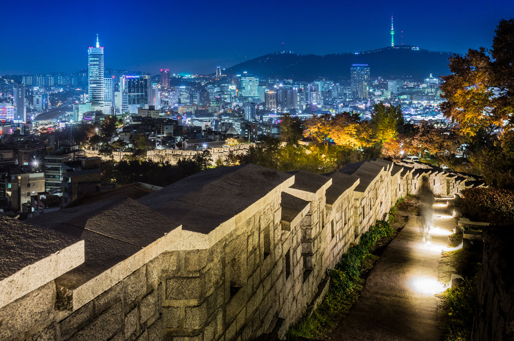 Seoul Nightlife Tour : Palace Tour, Cheonggyecheon Night View, DDPlaza Night View, Seoul Night View, Seoul City Wall, Naksan Park