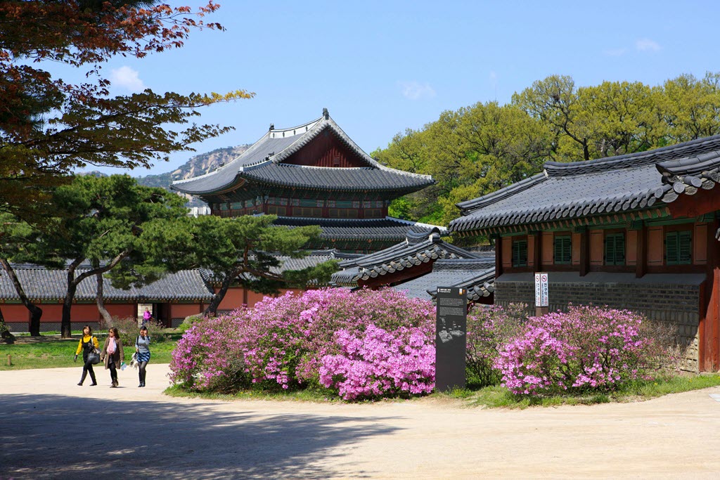 Seoul Nightlife Tours : Naional Museum of Korea , Changdeokgung Palace, K-Drama, K-Pop, Myeongdong, Gwangjang Traditional Market