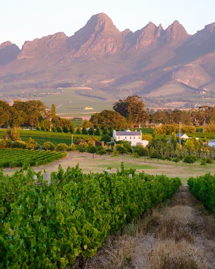 3-Day Cape Agulhas, Safari & Winelands Experience