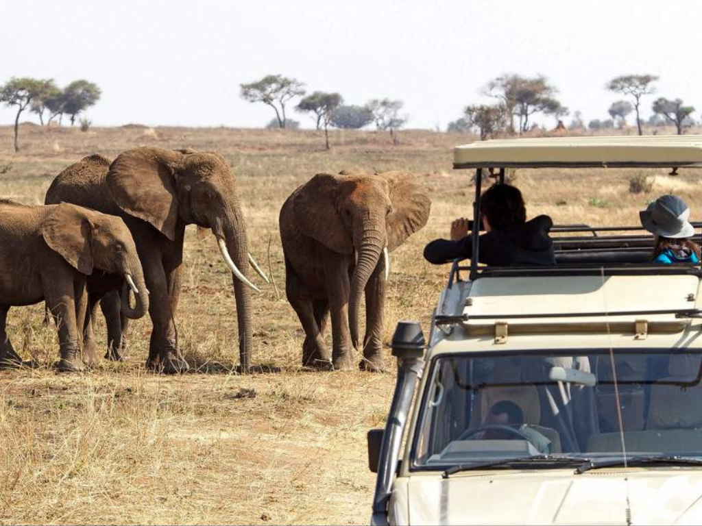Safari Aéreo de 5 Días desde Zanzíbar: Serengeti, Ngorongoro y Tarangire