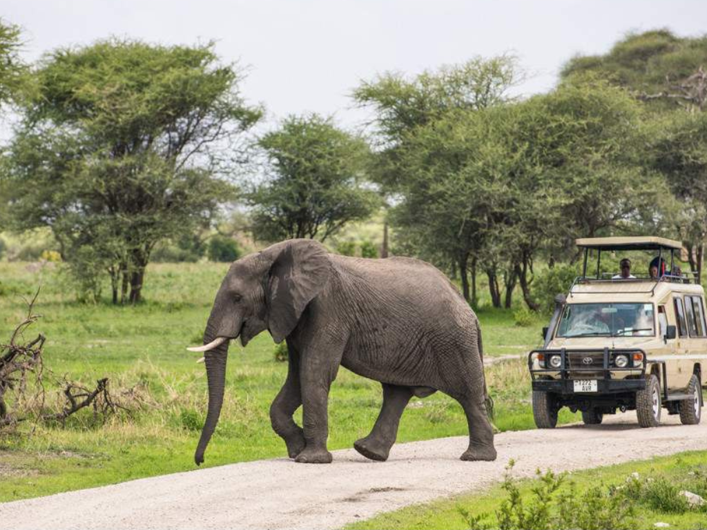 Safari Aéreo de 5 Días desde Zanzíbar: Serengeti, Ngorongoro y Tarangire