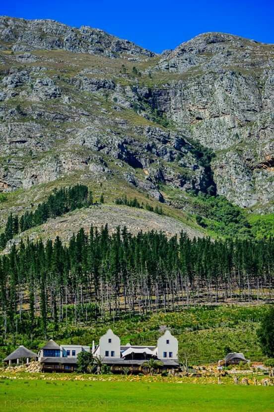 2-Day Cape Peninsula & Wine Country Tour – Beauty & Flavours