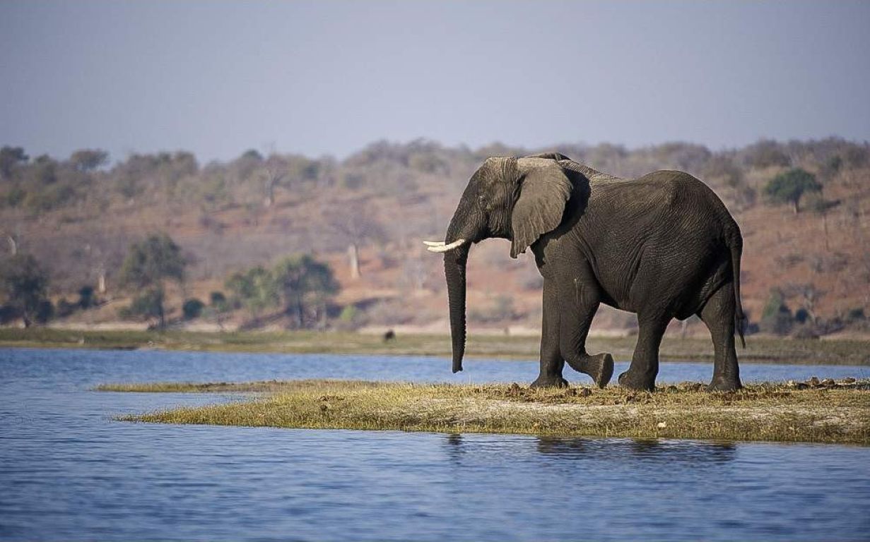 Safari económico de 7 días por el Parque Nacional Kruger, las Cataratas Victoria y el Parque Nacional de Chobe