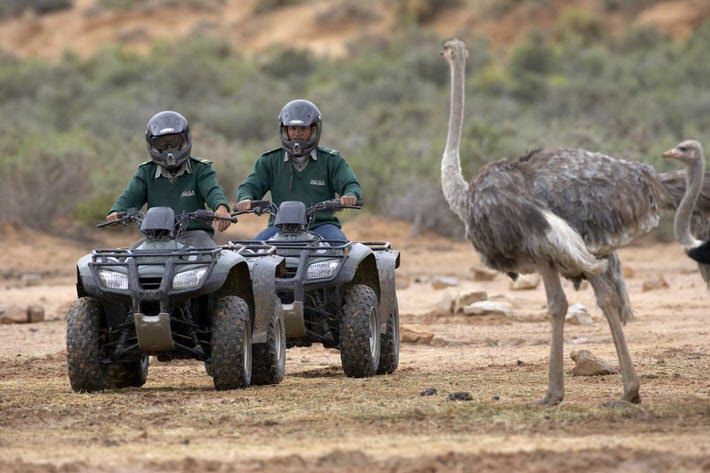 Escapada en cuatrimoto por la Reserva Aquila – 1 día
