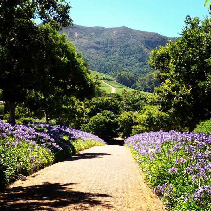 2-Day Cape Peninsula & Wine Country Tour – Beauty & Flavours