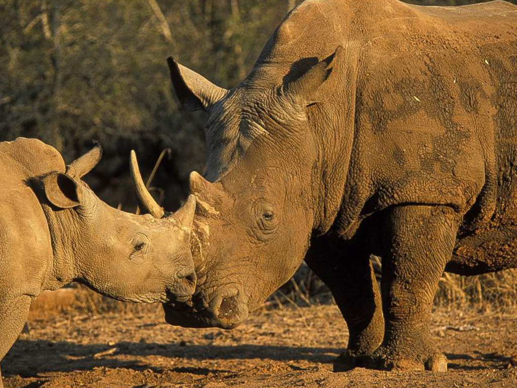 Aventura de 5 Días en Esuatini: Cultura, Fauna y Paisajes