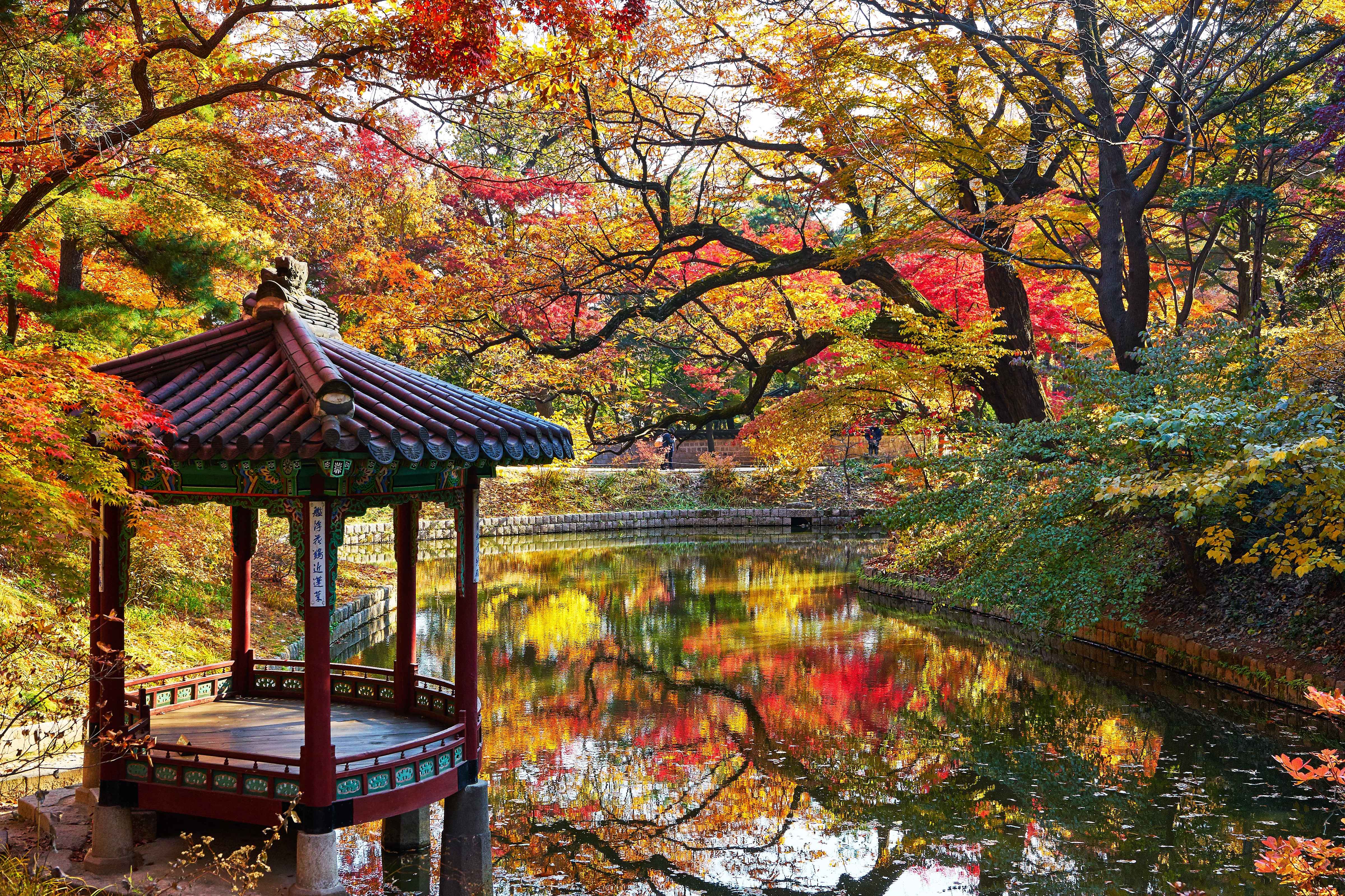 Seoul Customized Private Tour
