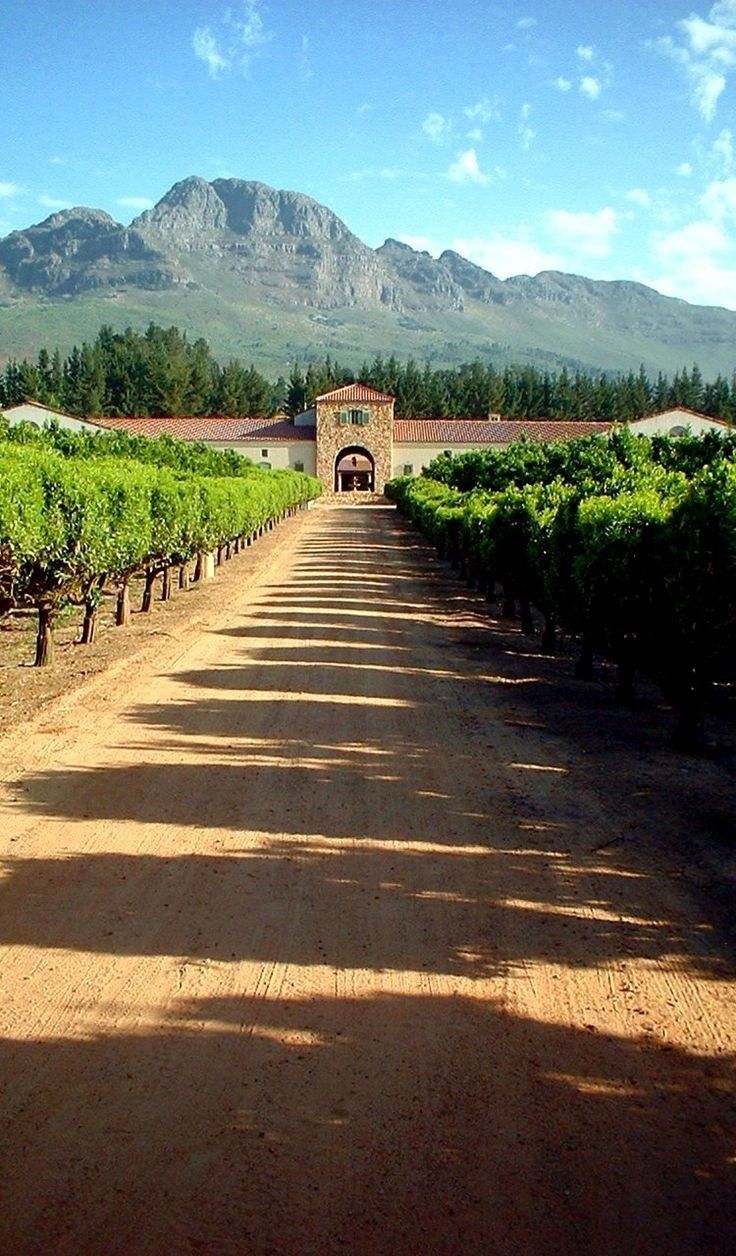 3-Day Cape Agulhas, Safari & Winelands Experience