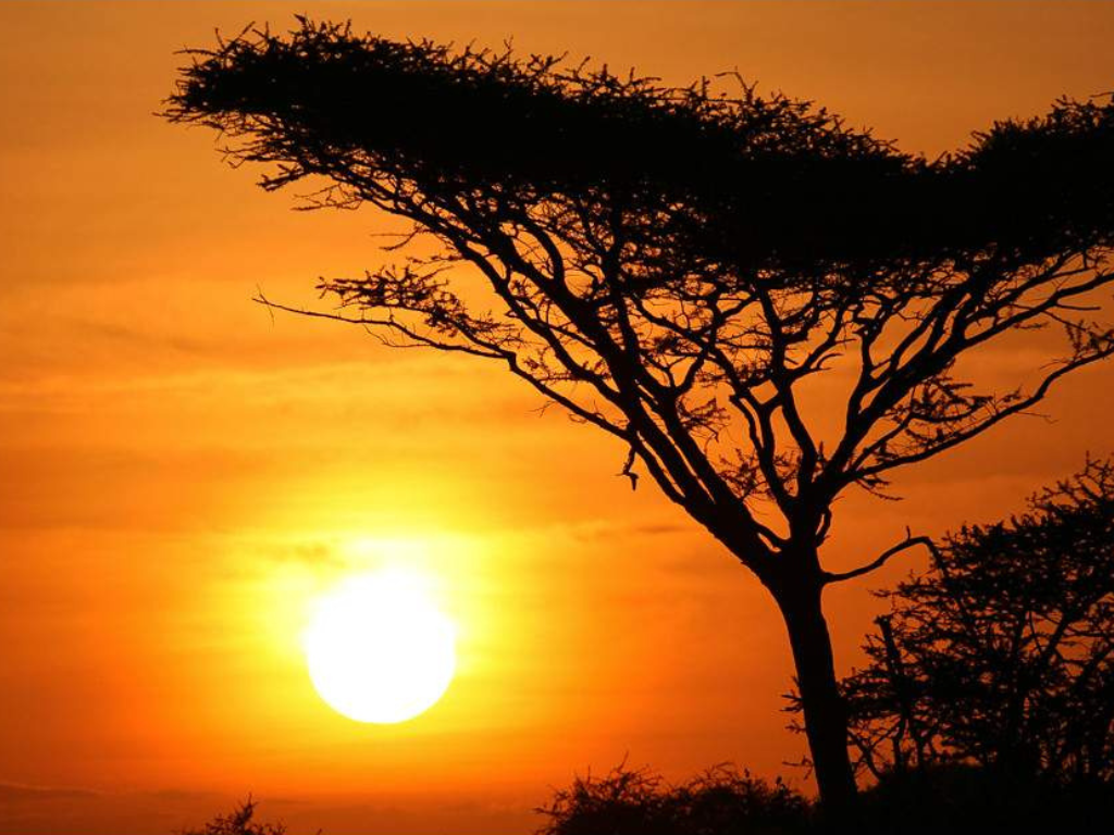 Safari Aéreo de 5 Días desde Zanzíbar: Serengeti, Ngorongoro y Tarangire