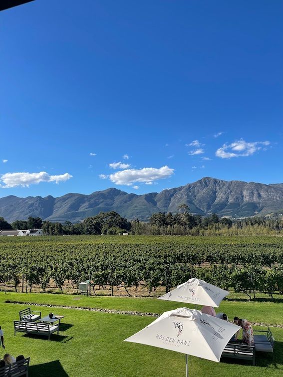 2-Day Cape Peninsula & Wine Country Tour – Beauty & Flavours