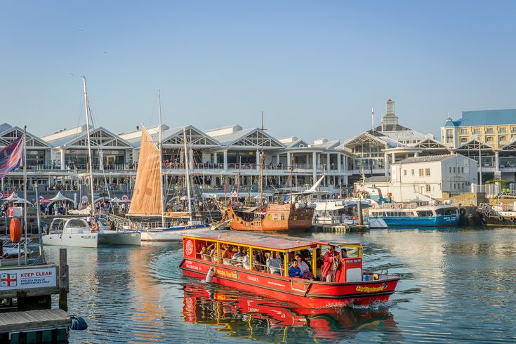 1 day Cape town waterfront canal cruise