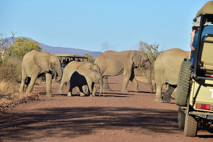 ½-Day Windhoek Wildlife & City Adventure with Lunch