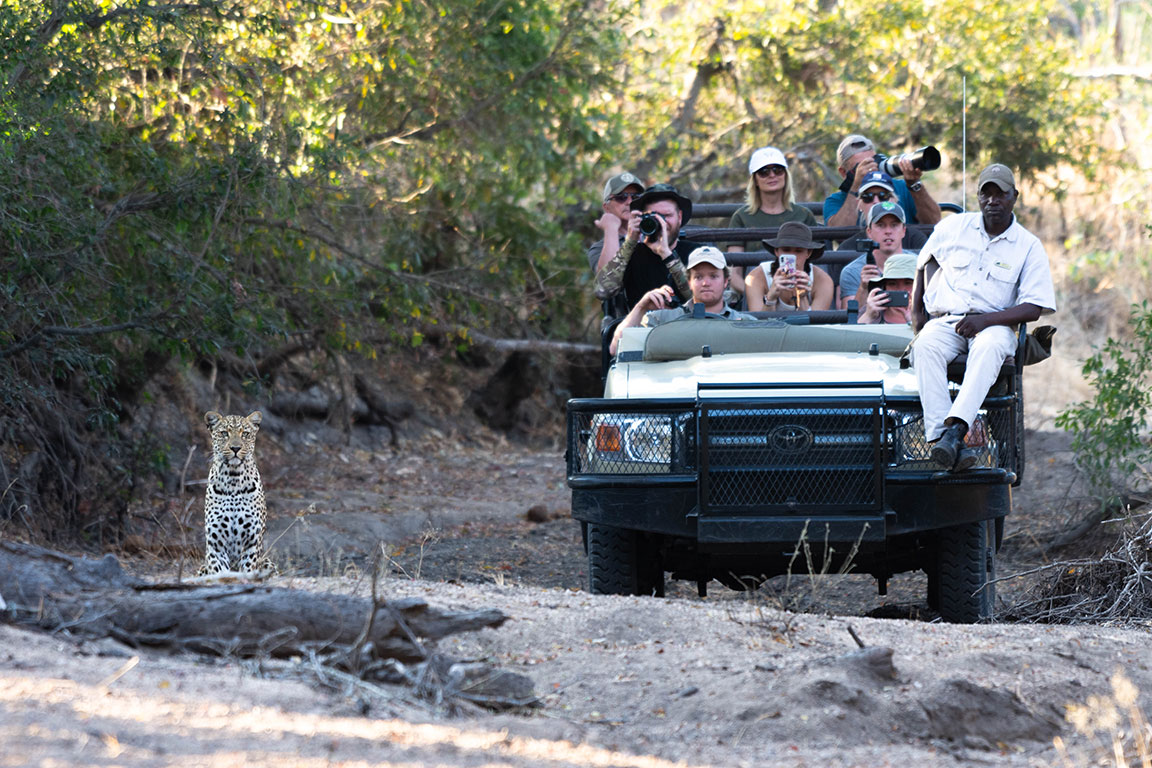 4-Day Adventure – Sabi Sands Safari Lodge Escape