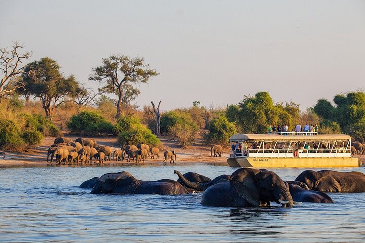 3-Day Authentic Chobe Safari – Big Five & Luxury Stay