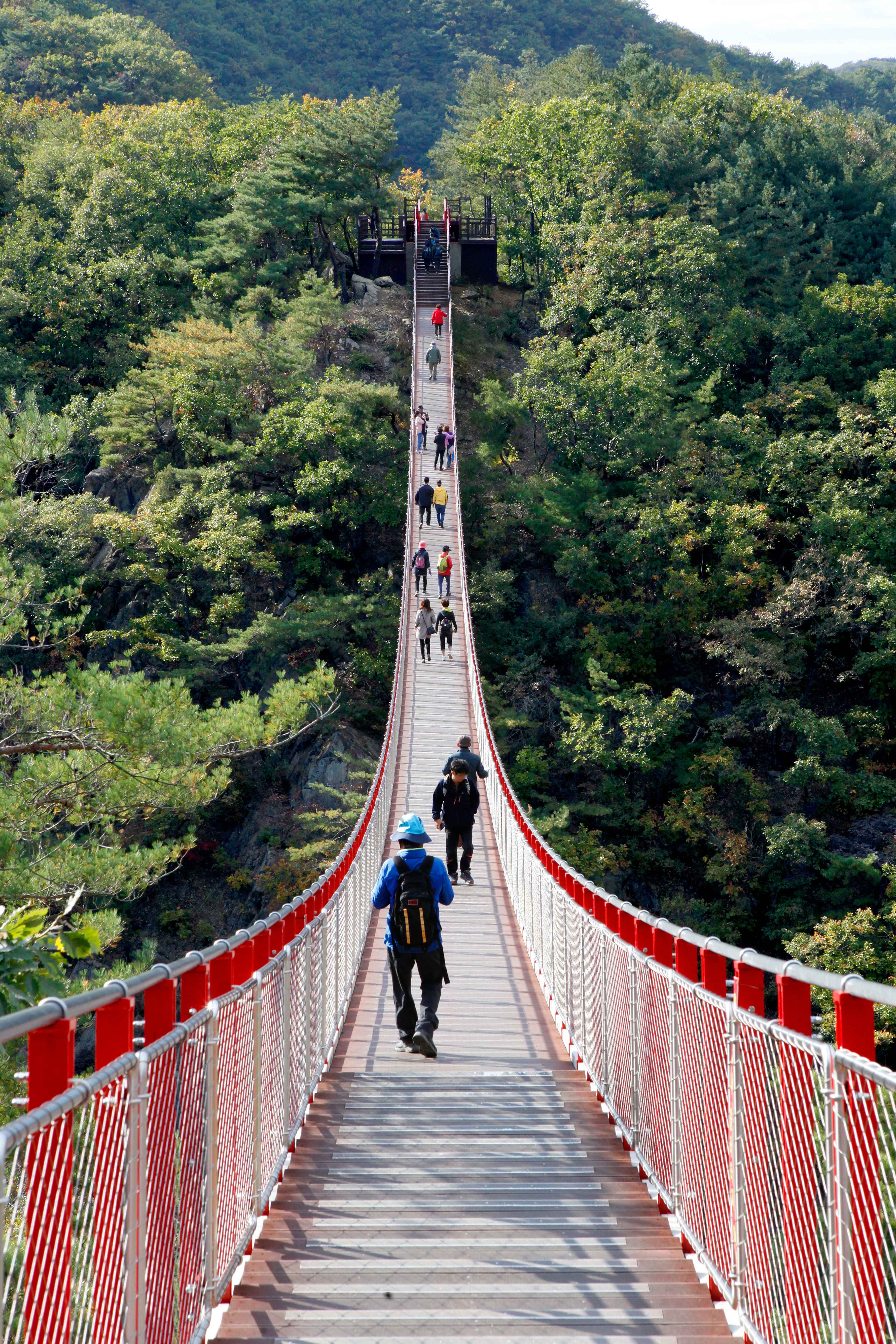 Best Korea DMZ Tour from Seoul (and Suspension Bridge)