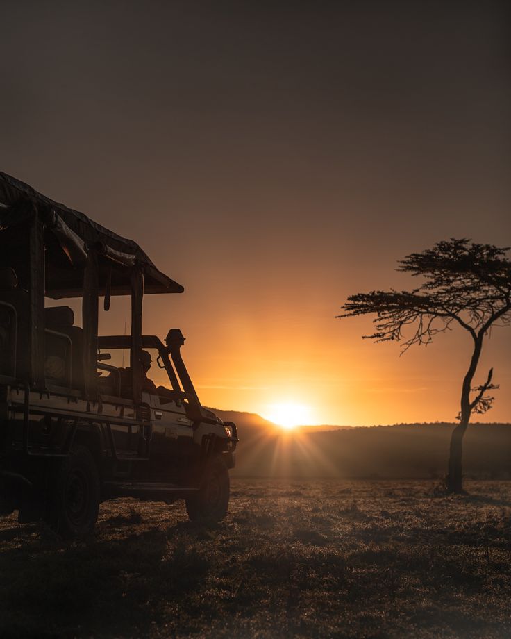 ½-Day Authentic Chobe River Big Five Safari