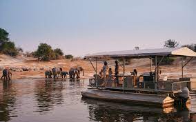 3-Day Authentic Chobe Safari – Big Five & Luxury Stay
