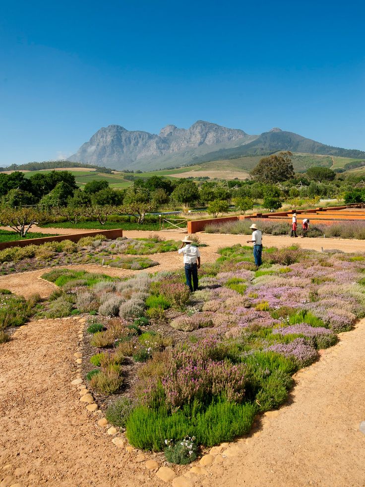 3-Day Cape Agulhas, Safari & Winelands Experience